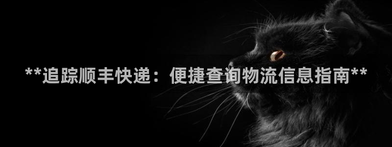 28圈自行车图片
