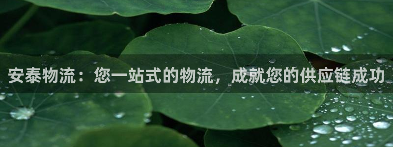 28圈官网下载链接是什么