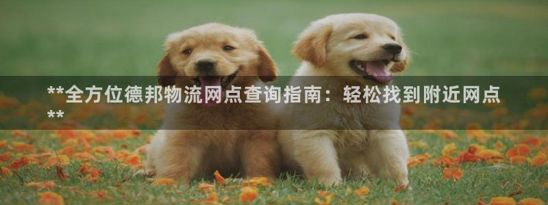 28圈龙虎
