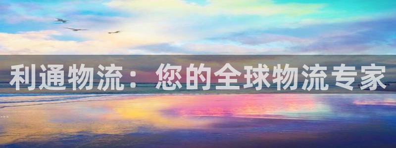 28圈模拟：利通物流：您的全球物流专