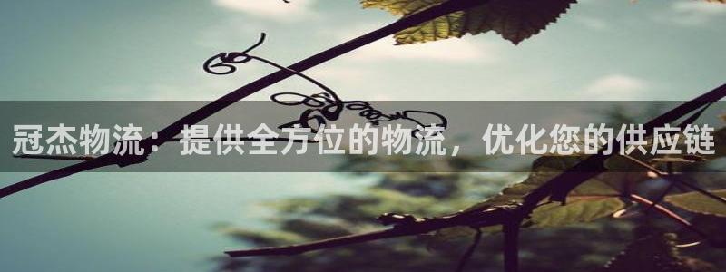 28圈加拿大pc预测