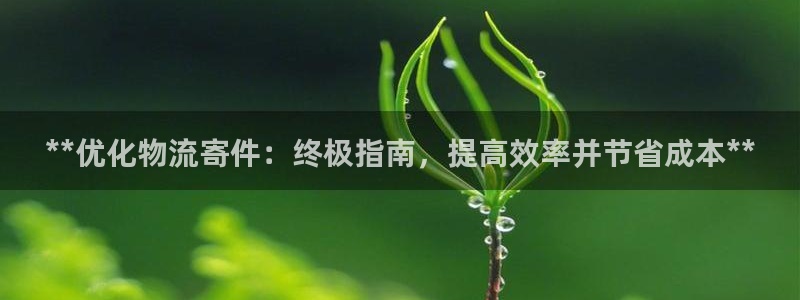 28圈p图上分下款通道