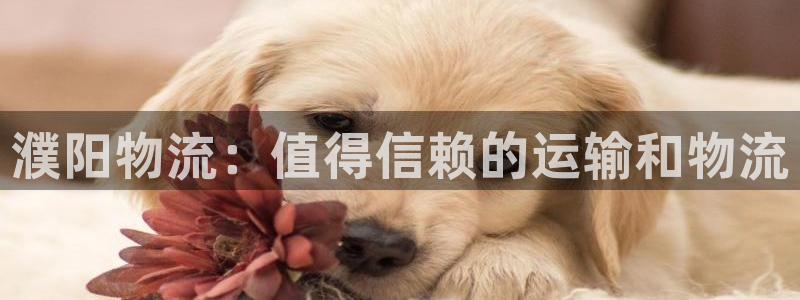 28圈pg麻将胡了2老是空转