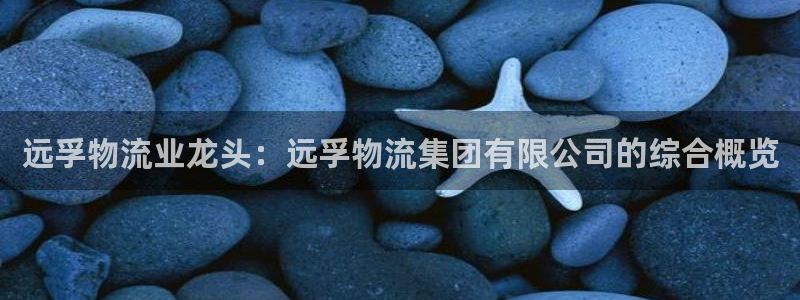 28圈圈助手