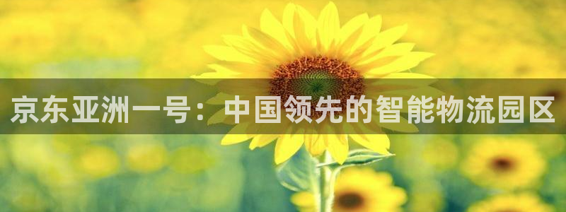 28圈注册网址：京东亚洲一号：中国领