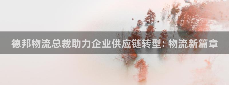 28圈充值方式
