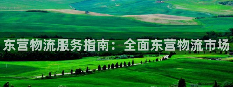 28圈官网平台