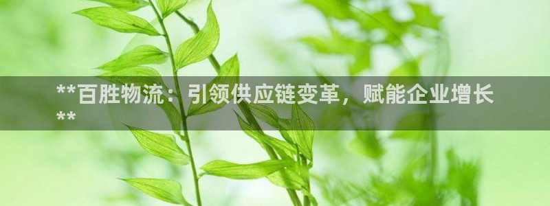 28圈app怎么注册账号：**百胜物