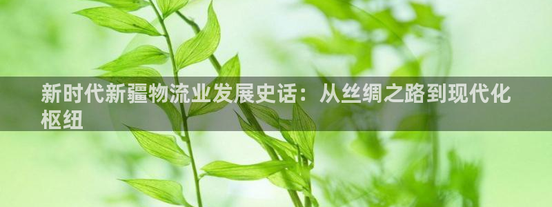 28圈大舞台：新时代新疆物流业发展史