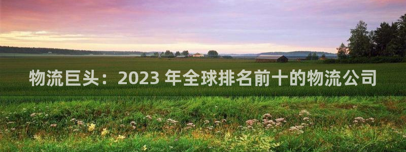 28圈为什么没有赢过一次：物流巨头：