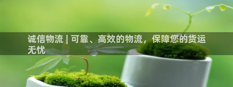 28圈娱乐官网网页下载