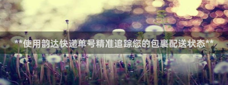 28圈p扣款什么意思