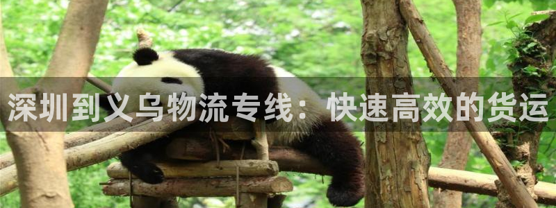 28圈官方官网