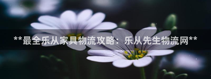 28圈预测网