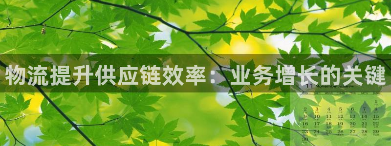 28圈推广链接是多少