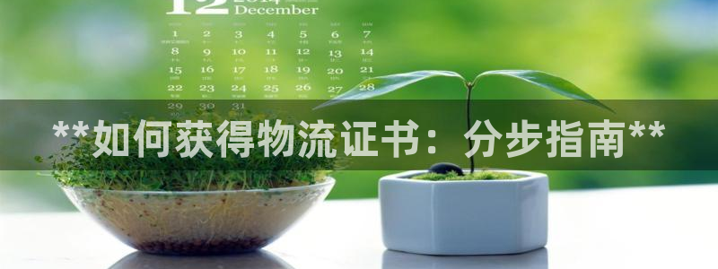 28圈加拿大