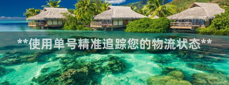 28圈注册与教程