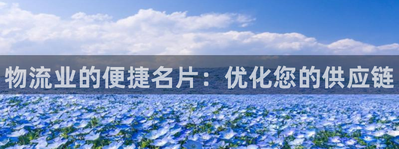 28圈游戏