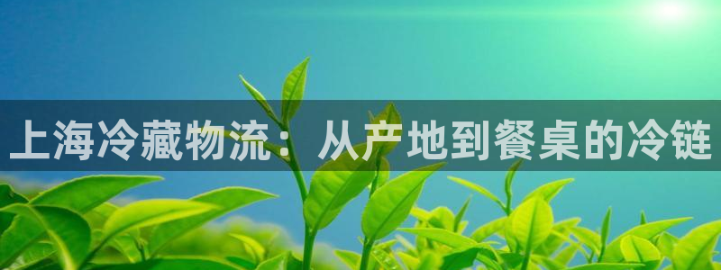 28圈预测网