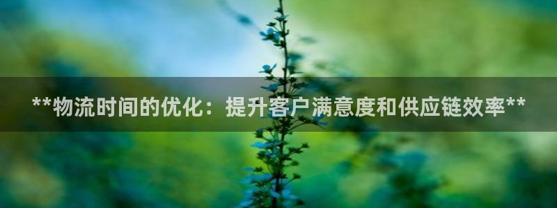 28圈ccm游戏