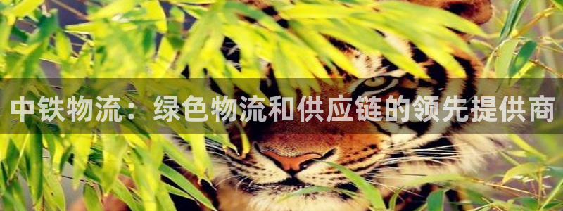 28圈在线预测官网