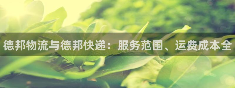 28圈在线预测官网