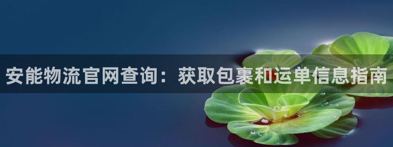 28圈下载不了
