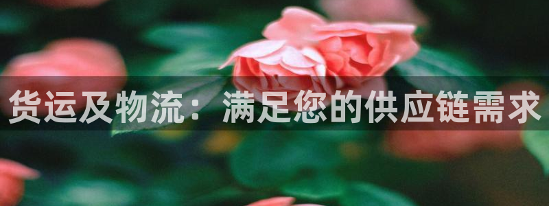 28圈里的财神