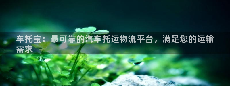 28圈注册网址百度知道