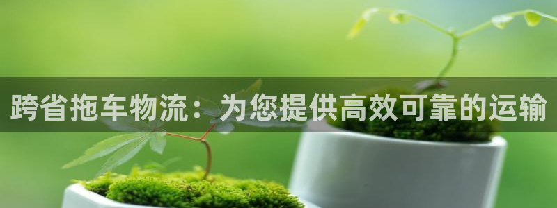 28圈是干嘛的