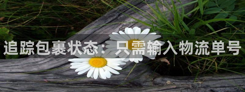 28圈加拿大开奖