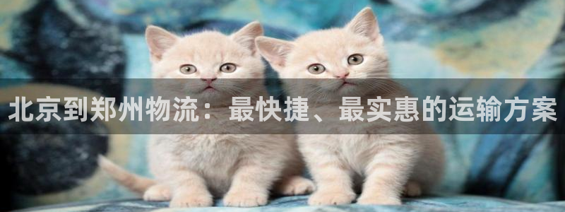28圈昵称