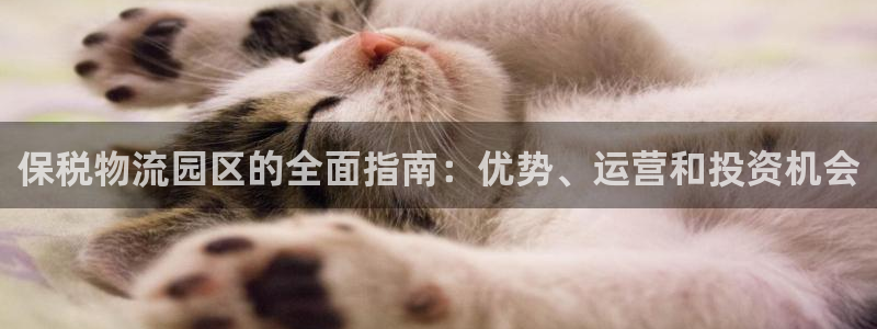 28圈圈