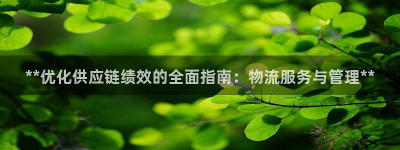28圈加拿大预测
