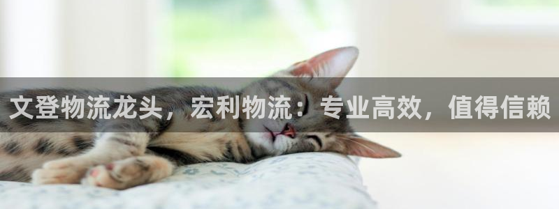 28圈加拿大pc预测