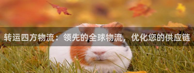 28圈免费