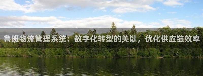 28圈充值不到账什么原因