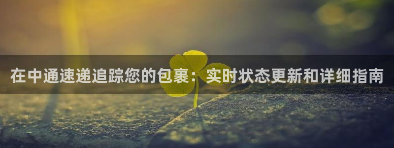 28圈加拿大走势