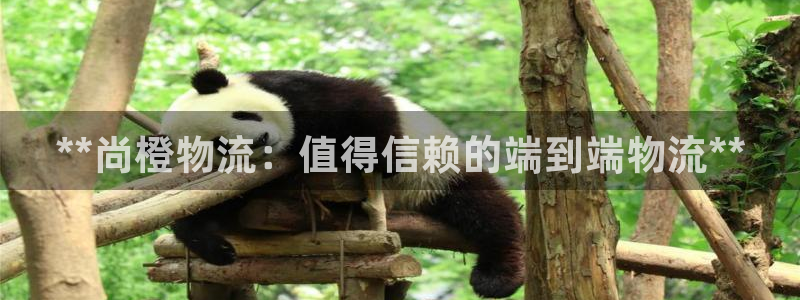 南宫28圈官网