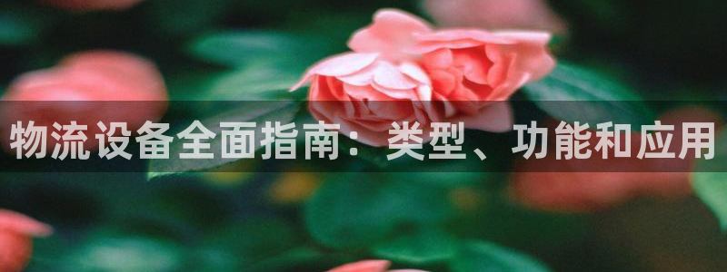 28圈绿骨头