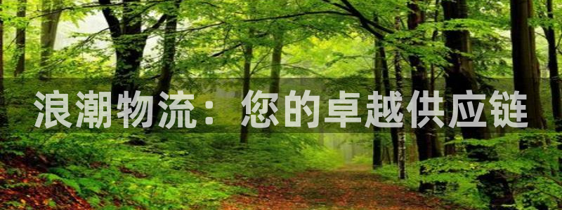 28圈自行车图片大全