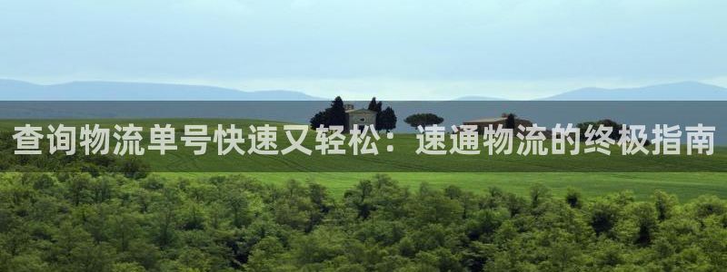 28圈.ccmpc正版