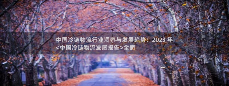 28圈女王中奖记录查询