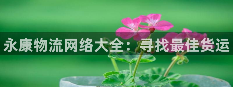 28圈注册过了警察知道吗：永康物流网