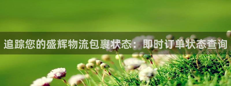 28圈加拿大怎么玩