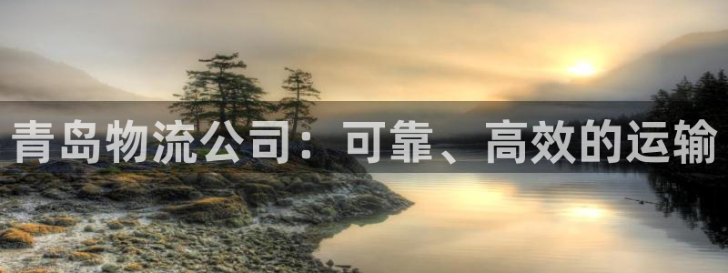 28圈注册网站加拿大：青岛物流公司：