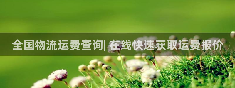 28圈网赌有什么风险：全国物流运费查