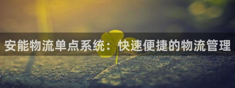 28圈pc预测