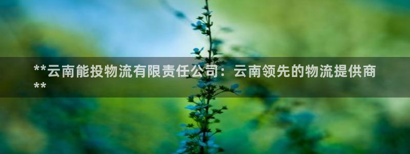 南宫28圈官网：**云南能投物流有限
