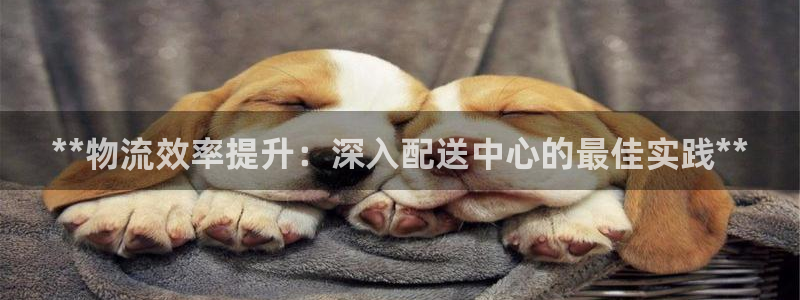 28圈注册限制怎么解除：**物流效率